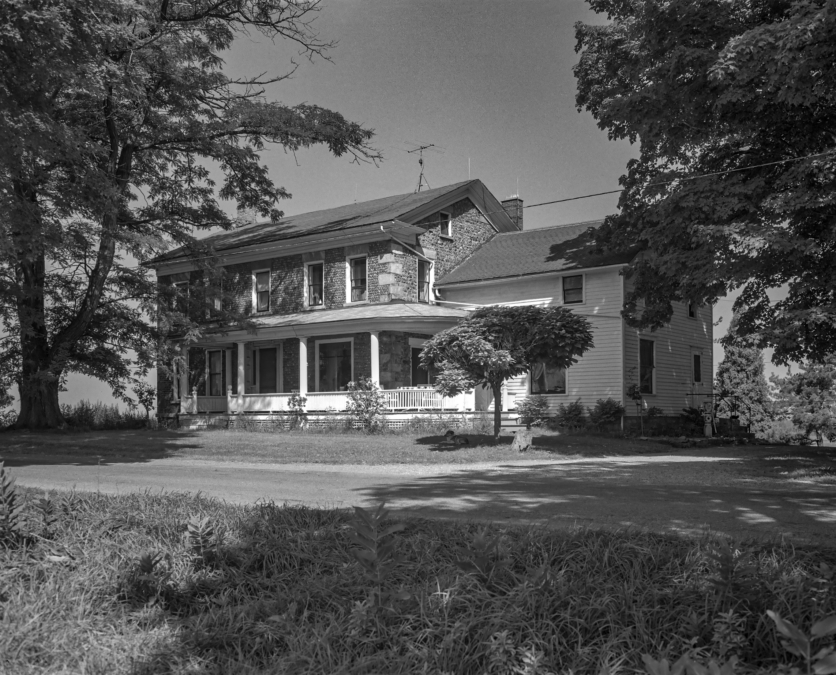 GP Orleans Shelby She-2 1-1 N